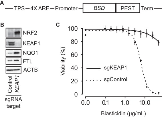 FIG 1