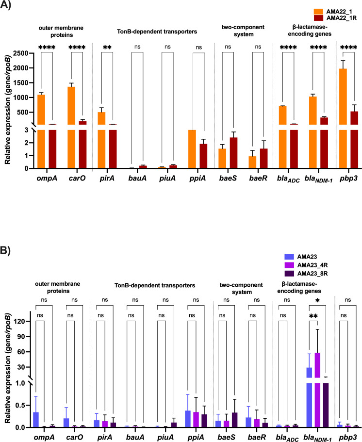 Bar charts depict relative gene expression of outer membrane proteins, transporters, systems, and β-lactamase genes across bacterial strains. Significant differences are marked by asterisks.