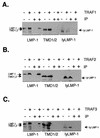 FIG. 6.