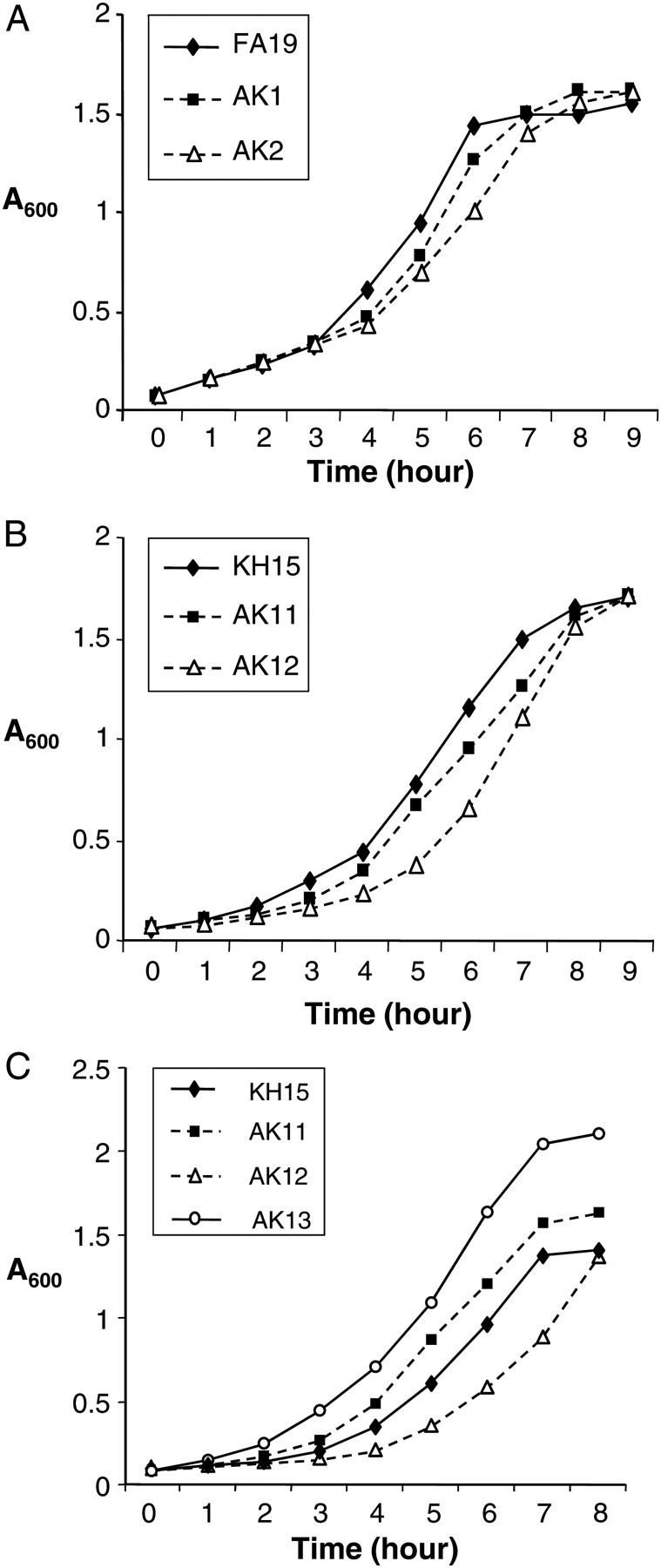 Figure 1.