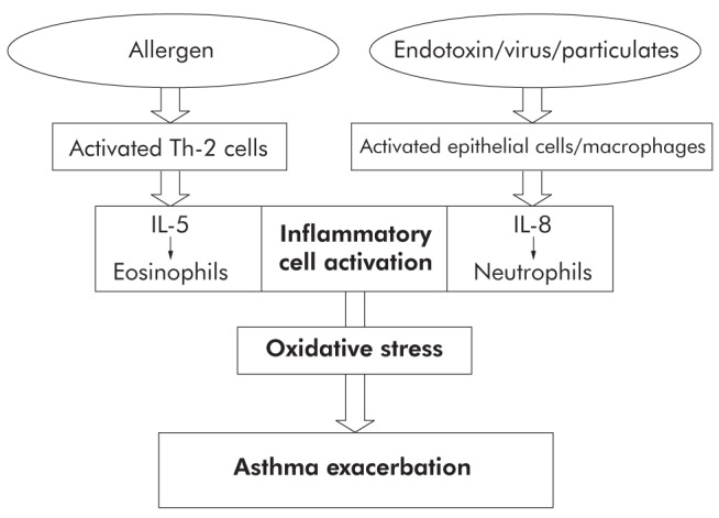 Figure 5)