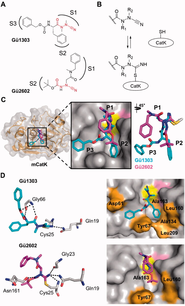 Figure 4.