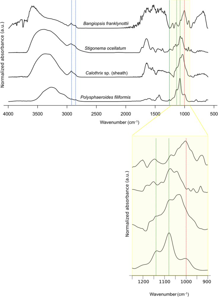 Figure 5