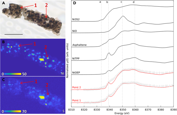 Figure 3