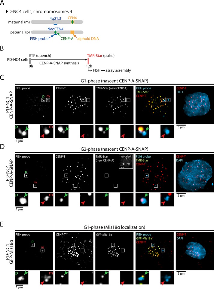 FIGURE 6: