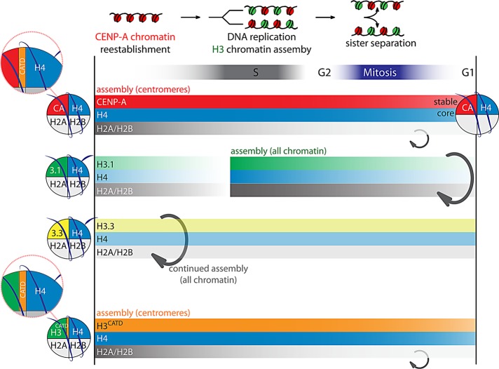 FIGURE 7: