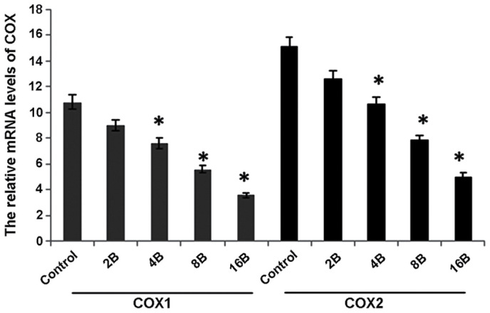 Figure 6.