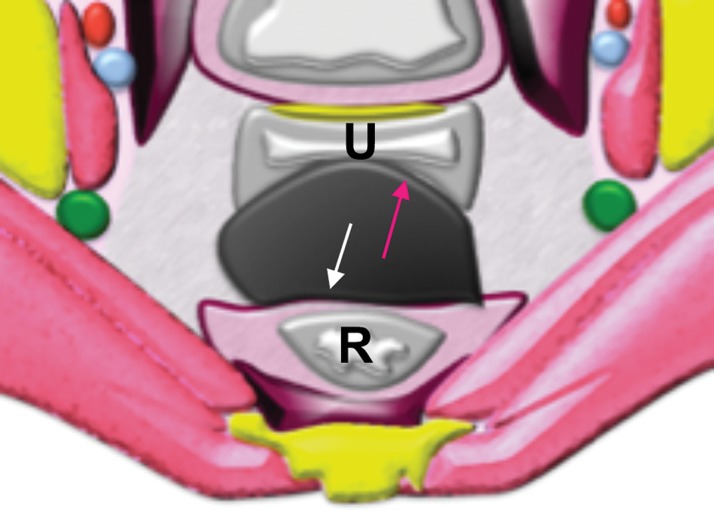 Figure 5d.