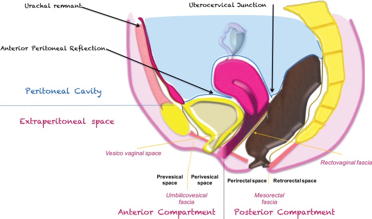 Figure 3a.