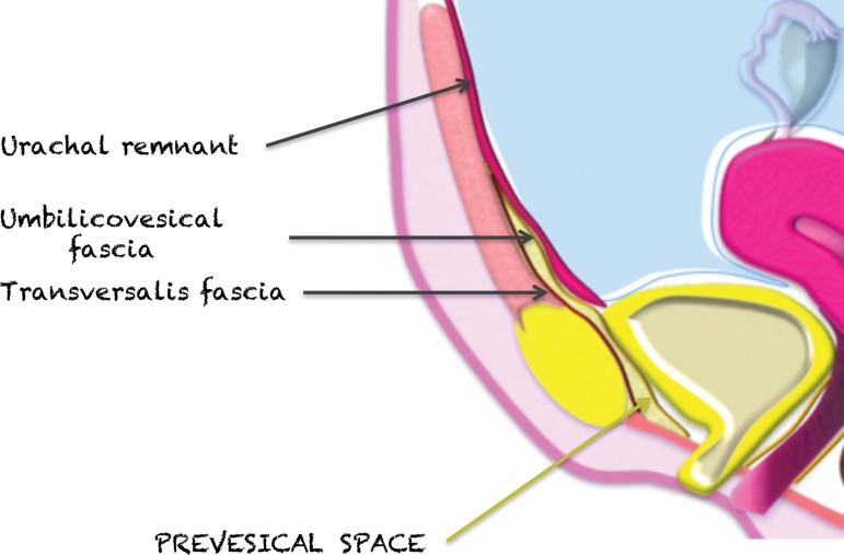 Figure 12.