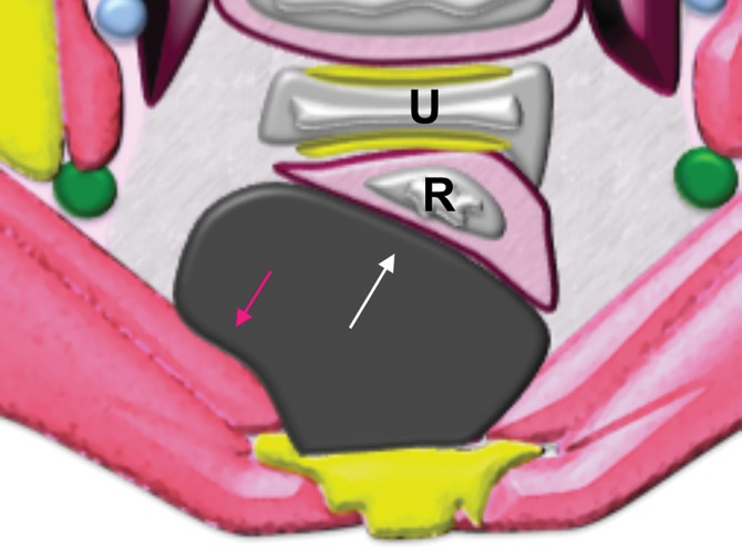 Figure 4c.