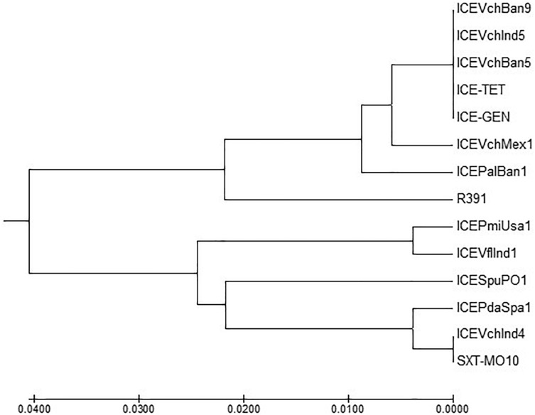 FIGURE 4