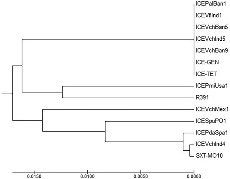 FIGURE 3