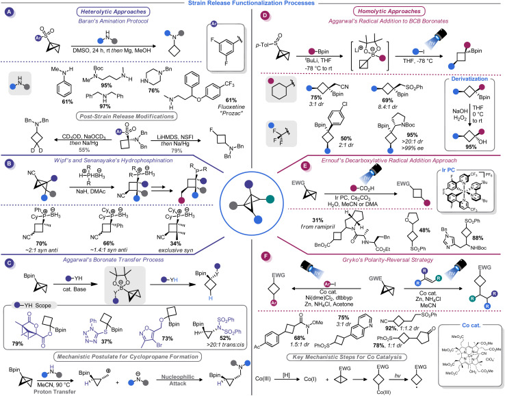 Scheme 7