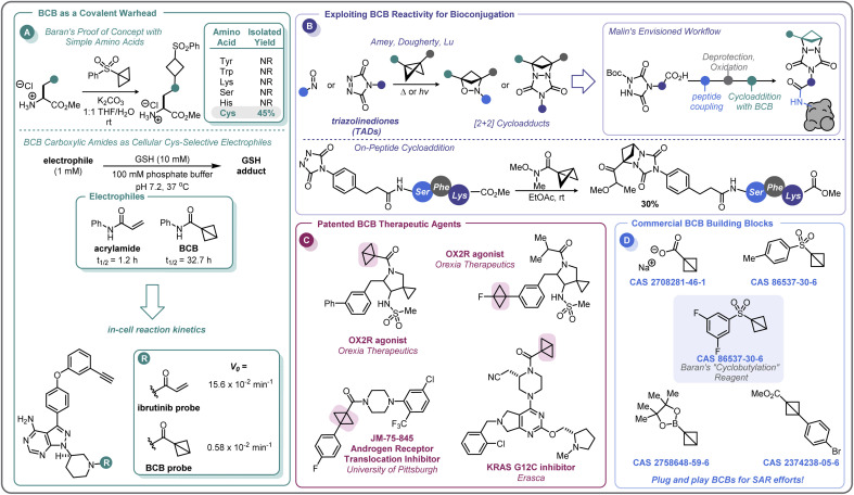 Scheme 10