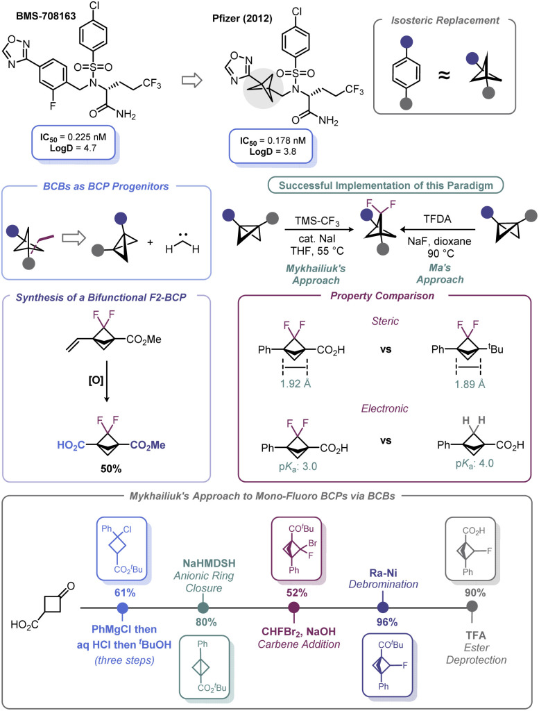 Scheme 8