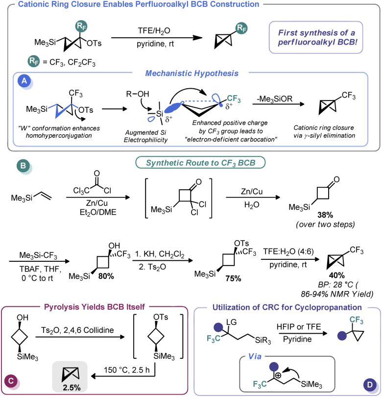 Scheme 5