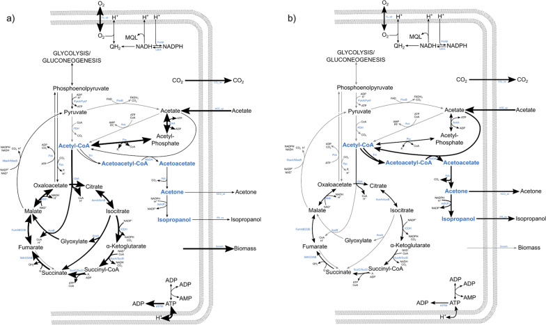 Fig. 7