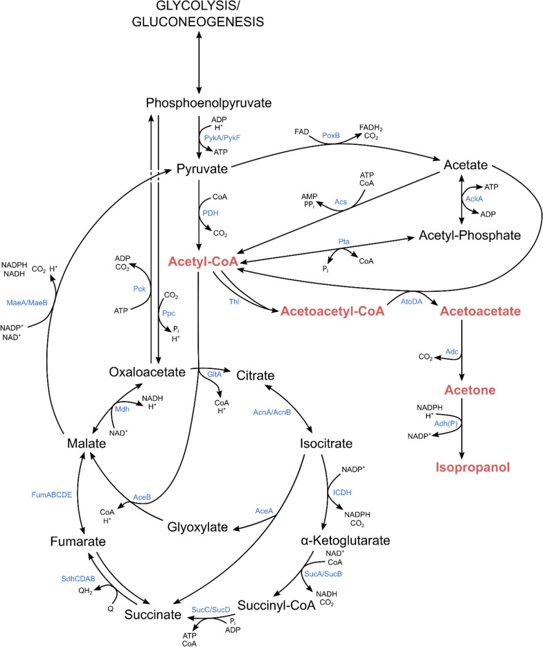 Fig. 1