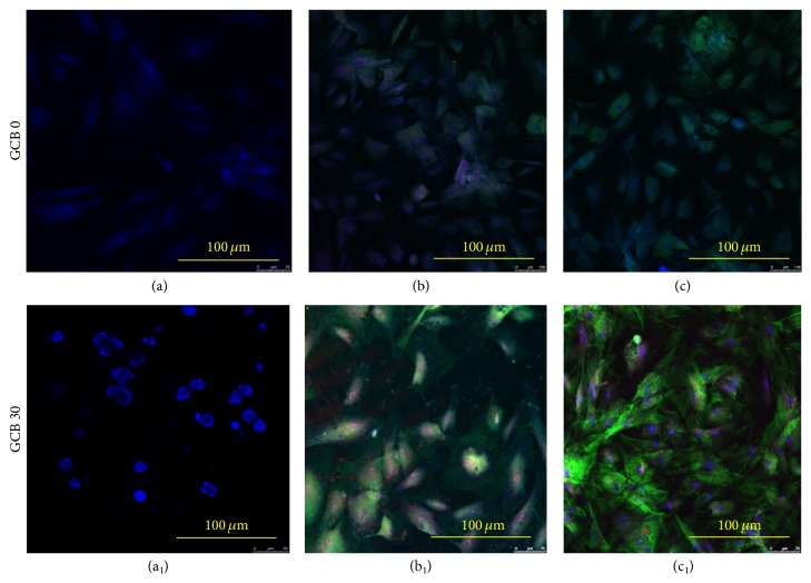 Figure 14