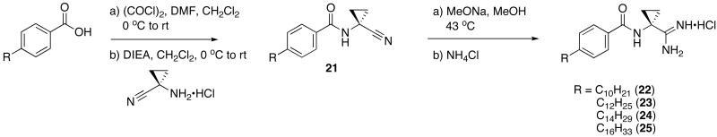 Scheme 8