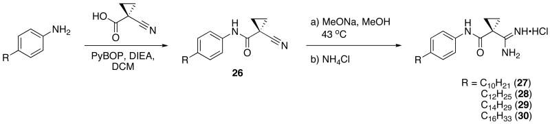 Scheme 8