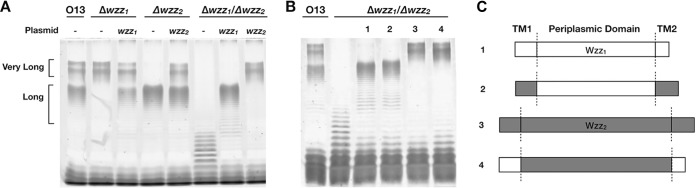 FIG 1