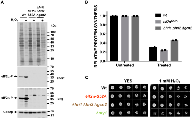 Figure 3