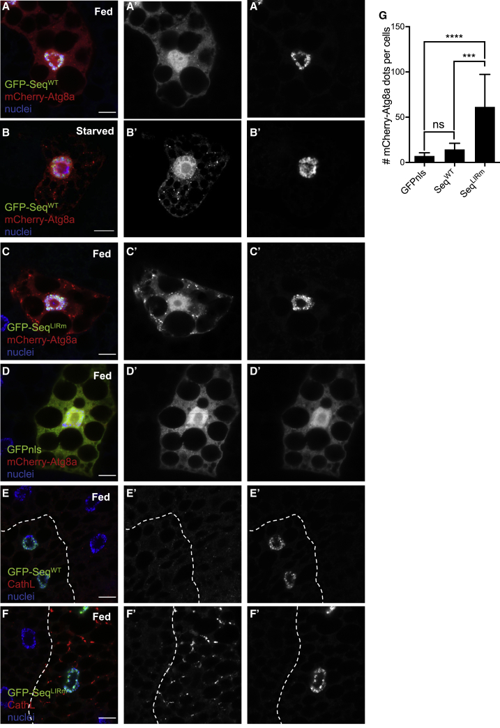 Figure 3
