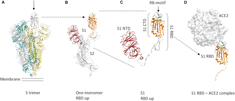 FIGURE 1