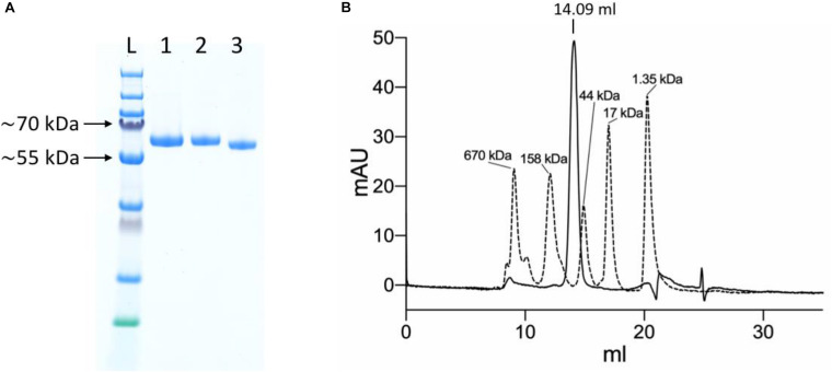 FIGURE 3