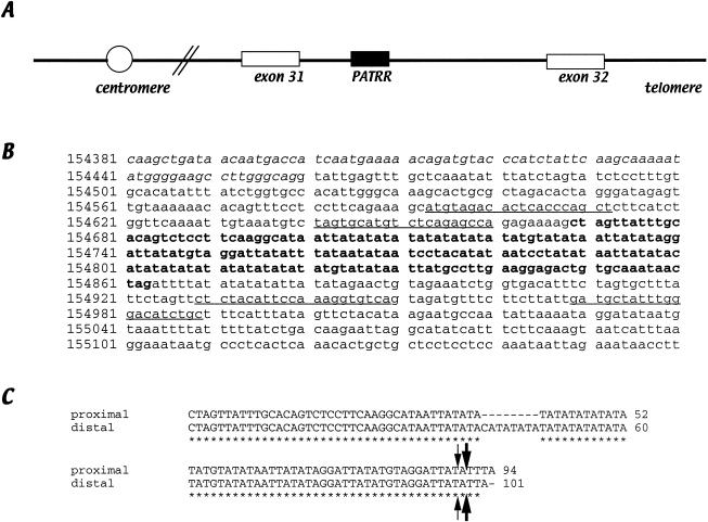 Figure  2