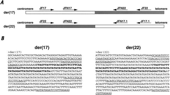 Figure  3