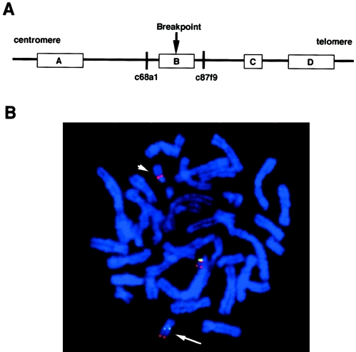 Figure  1