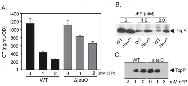 FIG 4 