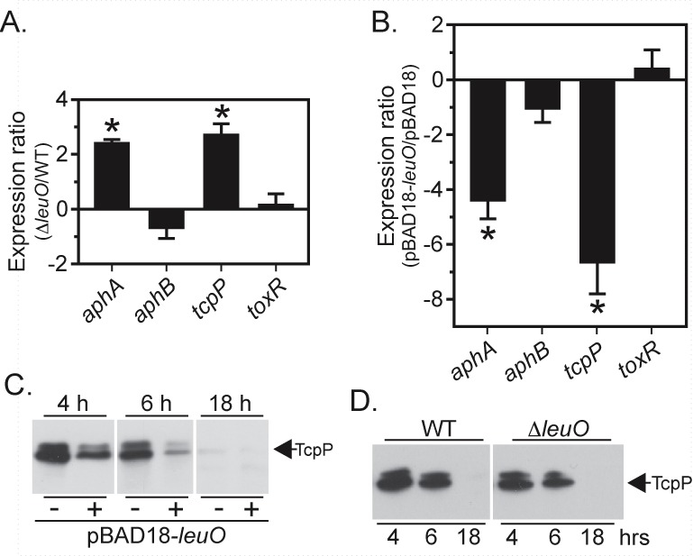 FIG 3 