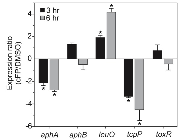 FIG 1 