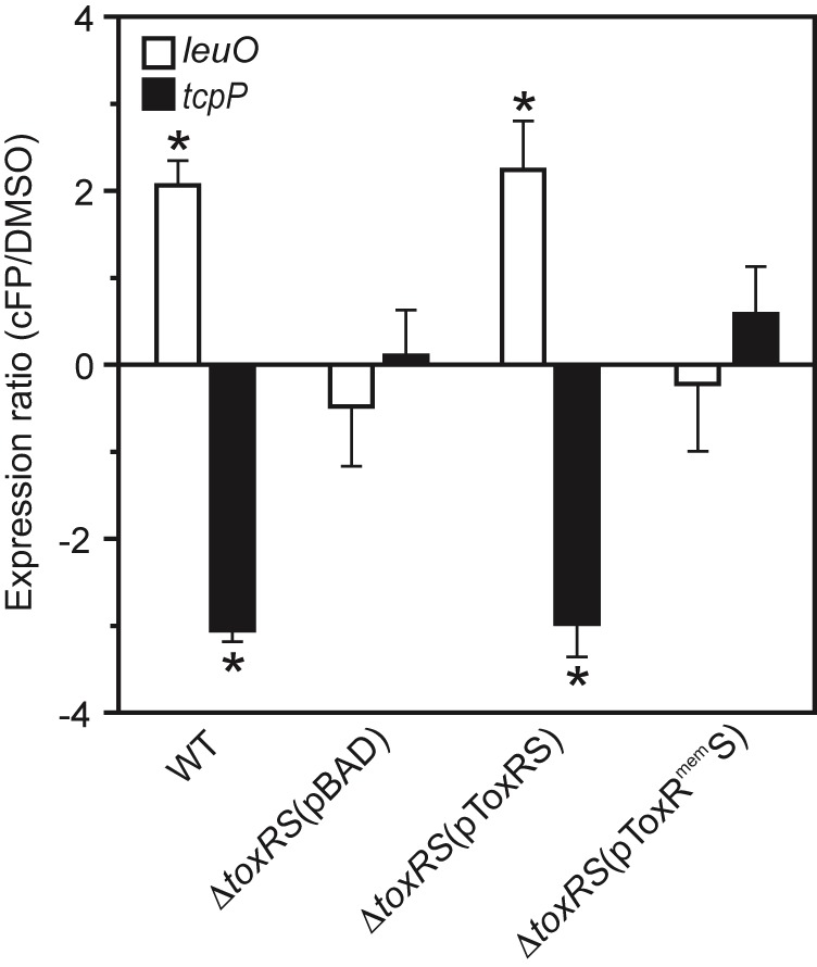 FIG 6 