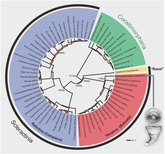 Fig. 3.