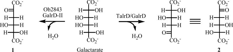 Scheme I