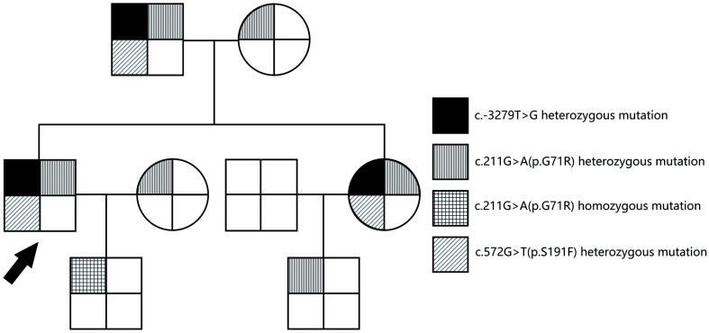 Fig. 3