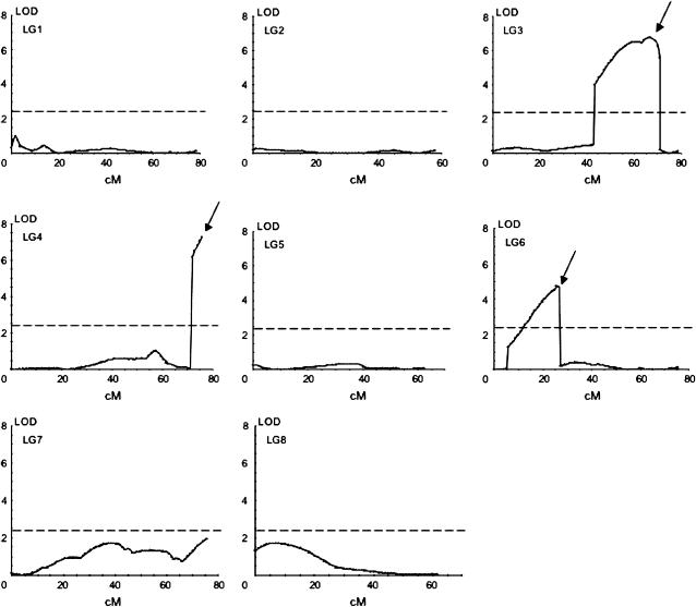 Figure 3.—