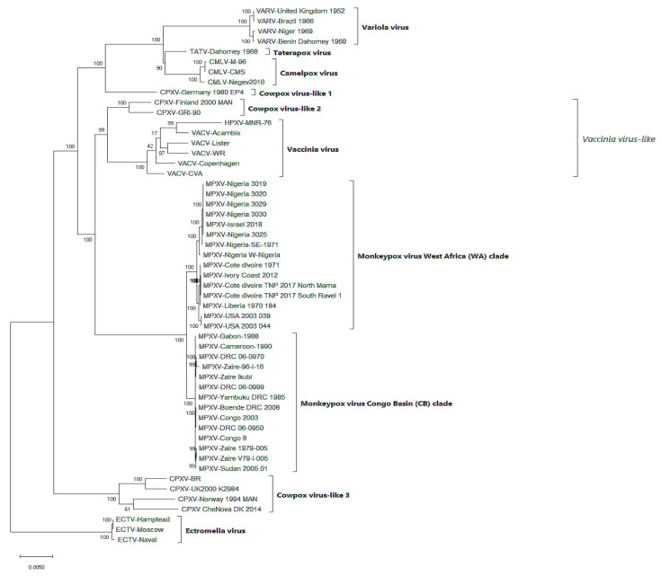 Figure 4