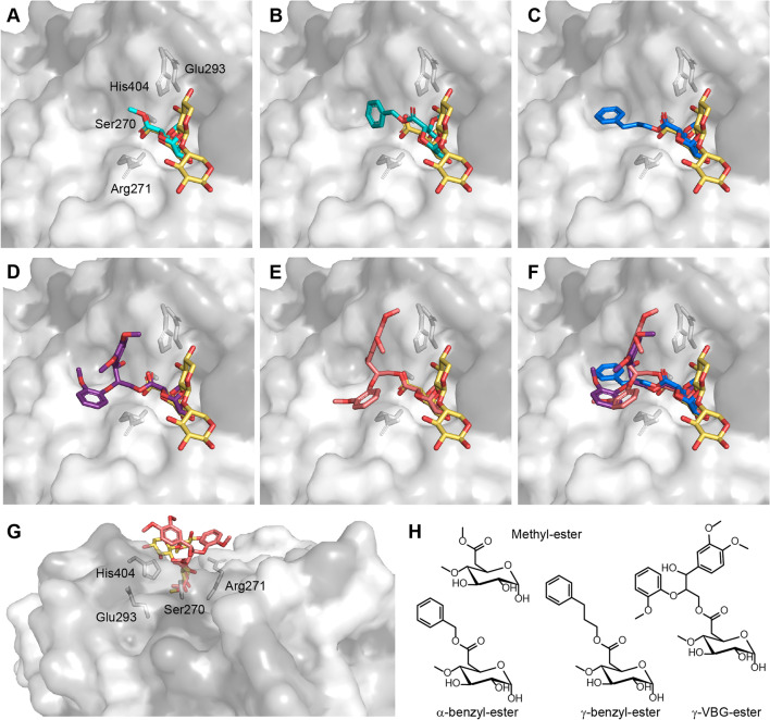 Fig. 4