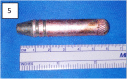 Fig. 5