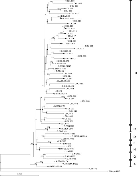 FIG. 3.