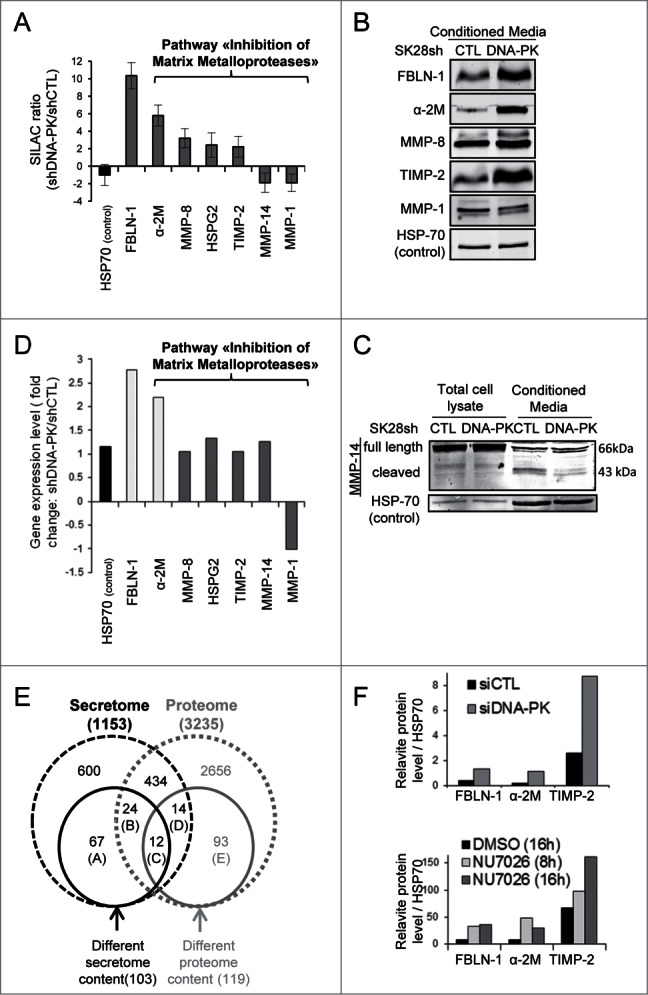 Figure 6 (See previous page).