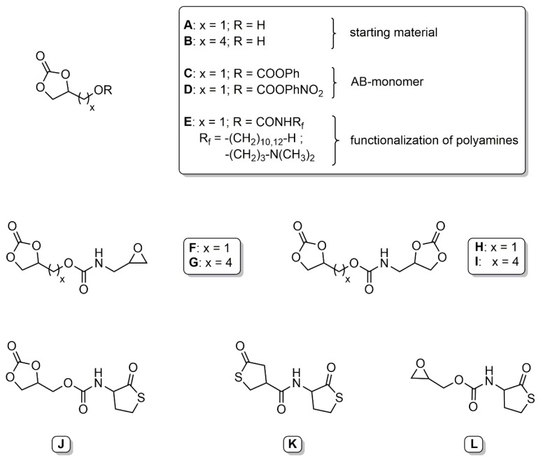 Scheme 2