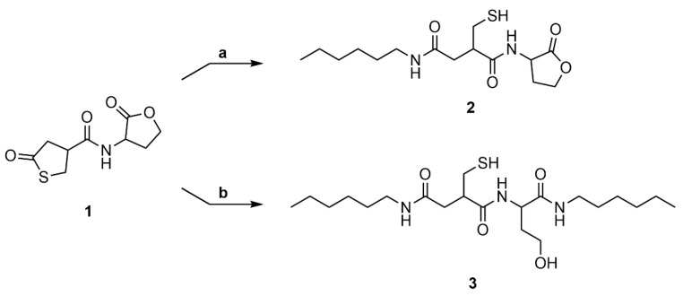 Scheme 4