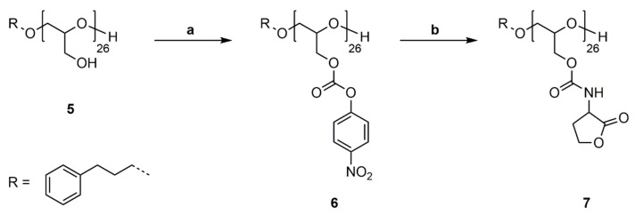 Scheme 6